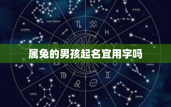 属兔的男孩起名宜用字吗，属兔的男孩起名宜用字吗好吗