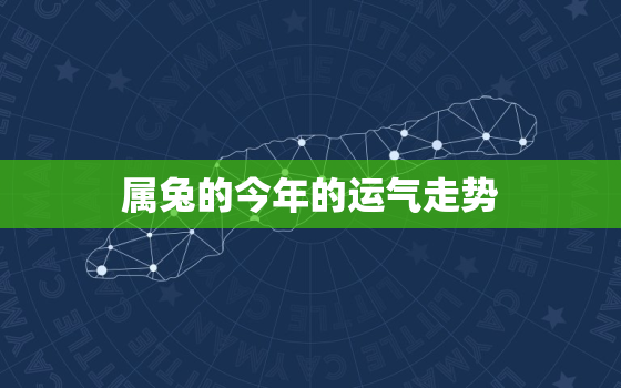 属兔的今年的运气走势，属兔的今年运气怎样2021