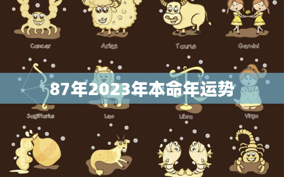 87年2023年本命年运势，87年2023年属兔人的全年运势