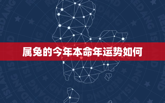 属兔的今年本命年运势如何，属兔的今年是本命年吗