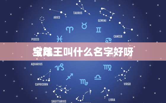 今年
宝姓王叫什么名字好呀，今年生男孩姓王起什么名字