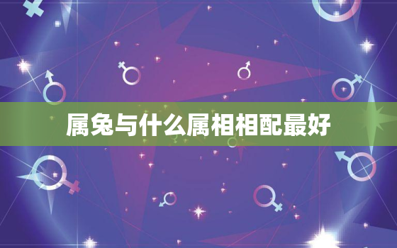 属兔与什么属相相配最好，属兔与什么属相相配最好