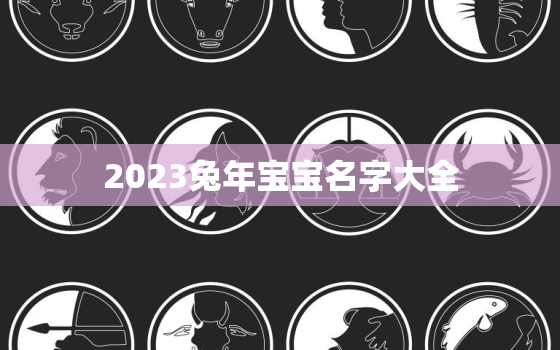 2023兔年宝宝名字大全，2023年兔宝宝命格好么