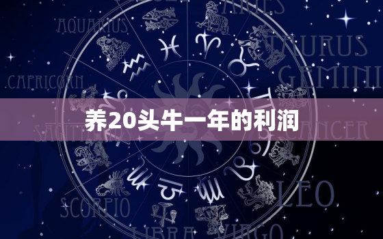 养20头牛一年的利润，养20头牛需要投资多少钱