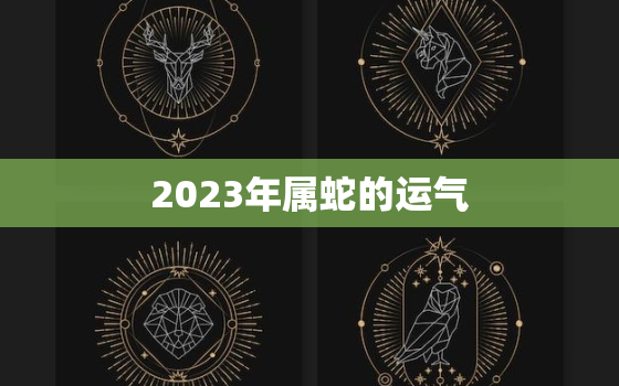 2023年属蛇的运气，1988属龙人2023年全年运势详解