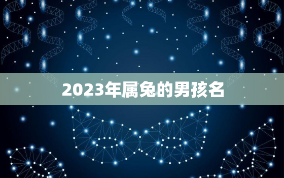 2023年属兔的男孩名，2023年属兔的男孩名字