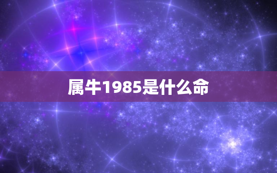 属牛1985是什么命，1985属牛的都是什么命