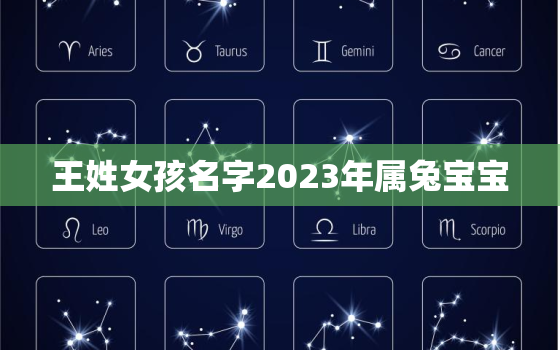 王姓女孩名字2023年属兔宝宝，明年属宝宝女姓王取什么名字