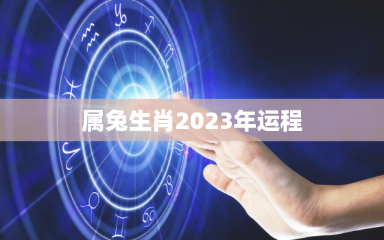 属兔生肖2023年运程，属兔人2023年全年运势