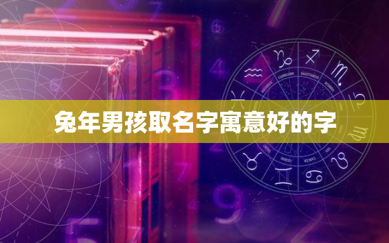 兔年男孩取名字寓意好的字，2023年男孩漂亮有涵养的名字