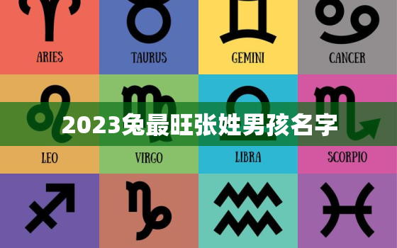 2023兔最旺张姓男孩名字，张姓属兔