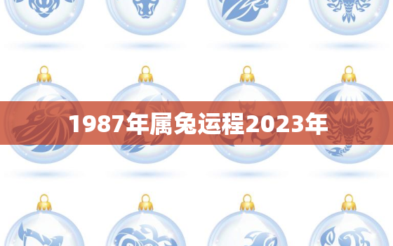 1987年属兔运程2023年，1987属兔人2023年全年运势详解