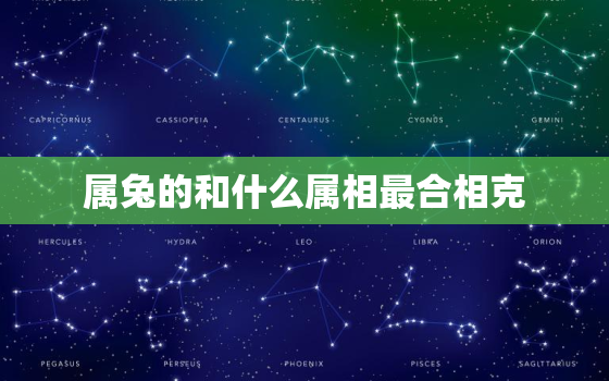 属兔的和什么属相最合相克，属兔和什么属相相冲相克相害