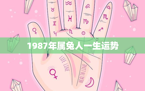 1987年属兔人一生运势，1987年属兔人的一生命运