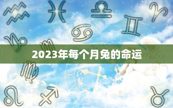 2023年每个月兔的命运，兔年2023年十二个月的运势及运程