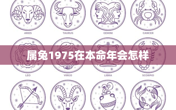 属兔1975在本命年会怎样，1975属兔的本命年是哪一年