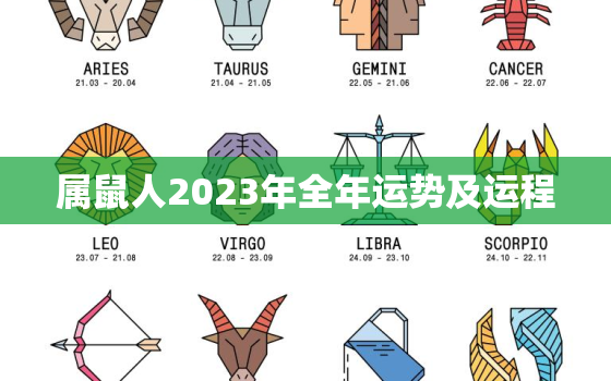 属鼠人2023年全年运势及运程，鼠人2022年全年的运程