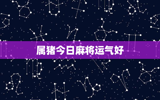 属猪今日麻将运气好，属猪今日麻将吉祥数字