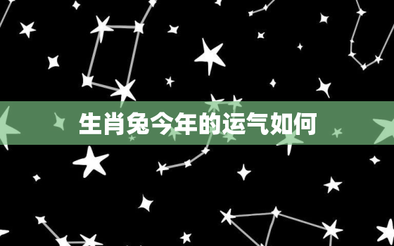 生肖兔今年的运气如何，生肖兔今年运势怎样