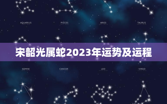 宋韶光属蛇2023年运势及运程，2023年属蛇人运势如何