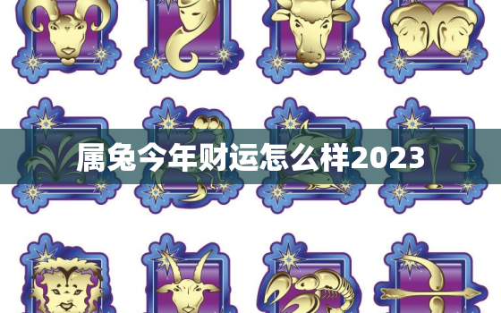 属兔今年财运怎么样2023，属兔今年财运如何2022