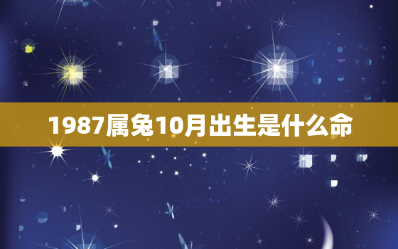 1987属兔10月出生是什么命，1987属兔十月生人运势