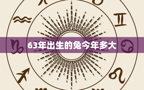 63年出生的兔今年多大，63年属兔的现在多大