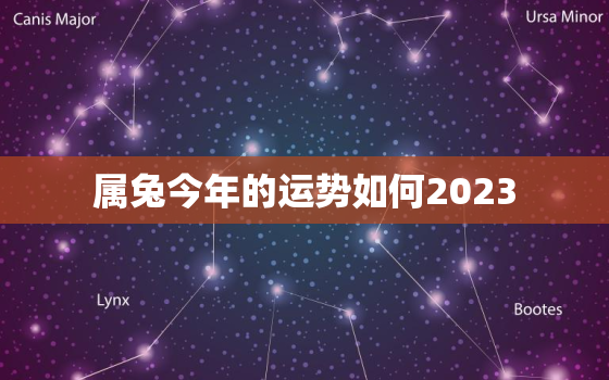 属兔今年的运势如何2023，属兔今年的运势如何化解