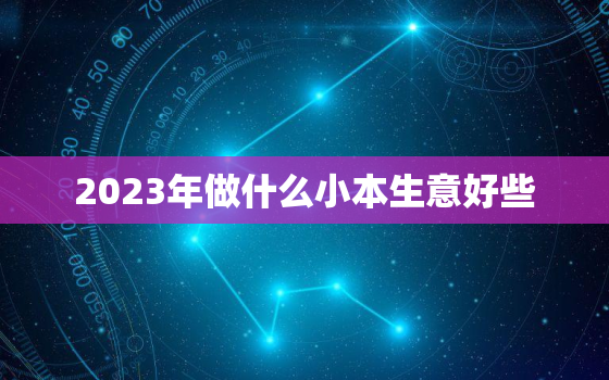 2023年做什么小本生意好些，2023年什么生意比较火爆