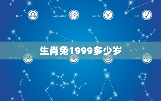 生肖兔1999多少岁，属兔1999今年多大