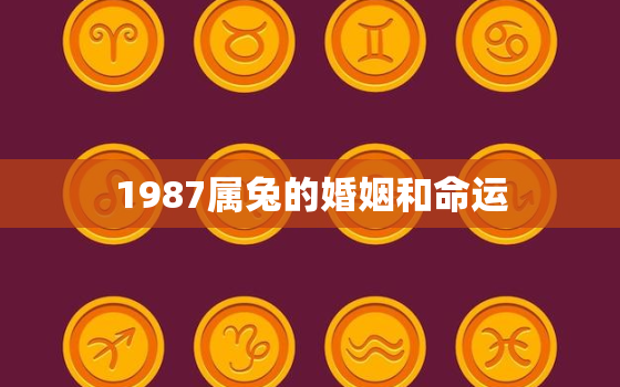 1987属兔的婚姻和命运，87年属兔婚姻最终归宿