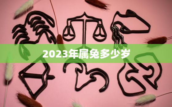 2023年属兔多少岁，2023属兔年龄查询表