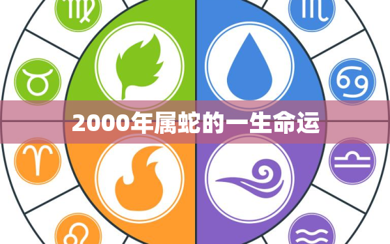 2000年属蛇的一生命运，2000年属蛇的是什么命运