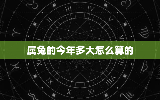 属兔的今年多大怎么算的，属兔的今年多大的今年多大