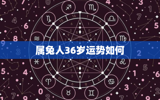 属兔人36岁运势如何，属兔36岁是哪一年