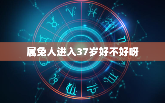 属兔人进入37岁好不好呀，属兔人进入35岁好不好