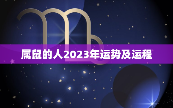 属鼠的人2023年运势及运程，属龙的人2023年运势及运程