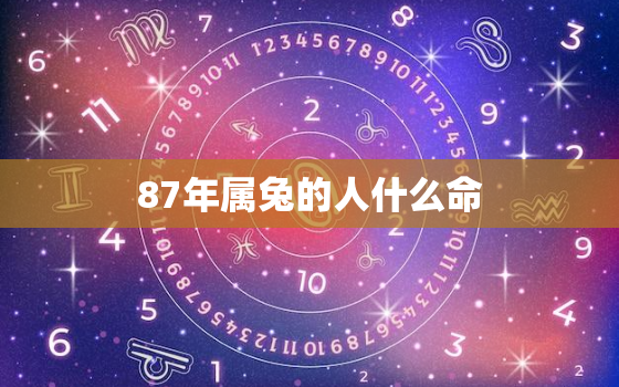 87年属兔的人什么命，87年属兔的是什么命运