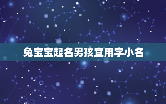 兔宝宝起名男孩宜用字小名，兔
宝取名字大全集