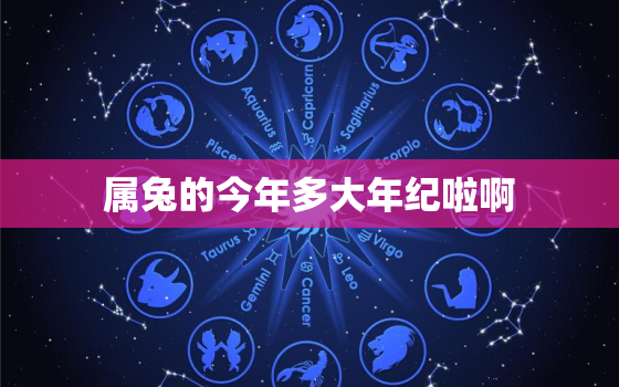 属兔的今年多大年纪啦啊，属兔的今年多大年纪啦啊女生