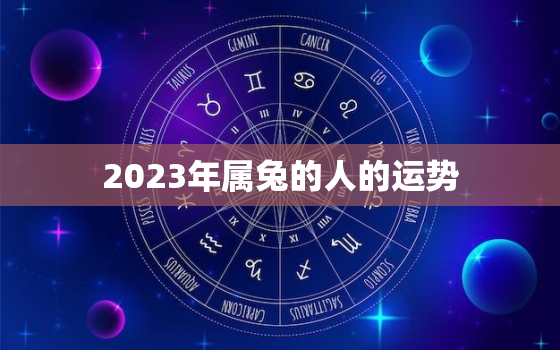 2023年属兔的人的运势，2023年属兔人的运势十二生肖网