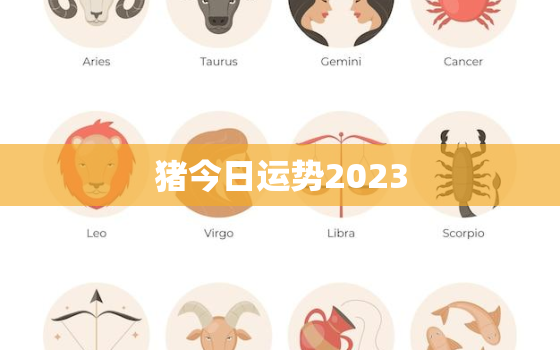 猪今日运势2023，猪今日运势2022