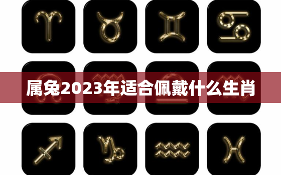 属兔2023年适合佩戴什么生肖，2023年对属兔的人好不好