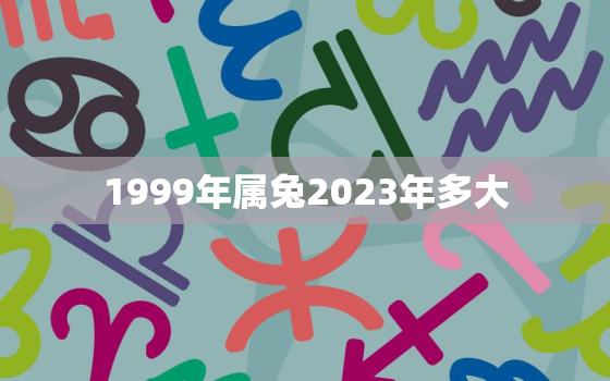 1999年属兔2023年多大，1999年2023年多少岁