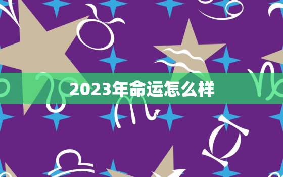 2023年命运怎么样，2007属猪2023年命运怎么样