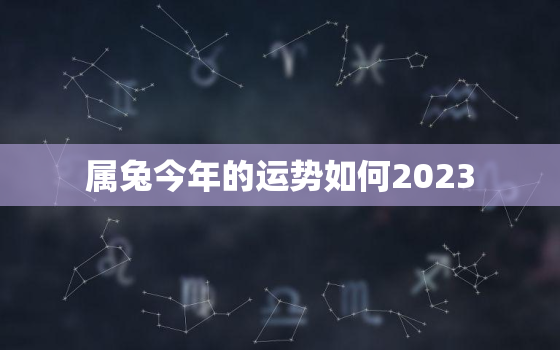 属兔今年的运势如何2023，属兔今年运势怎样