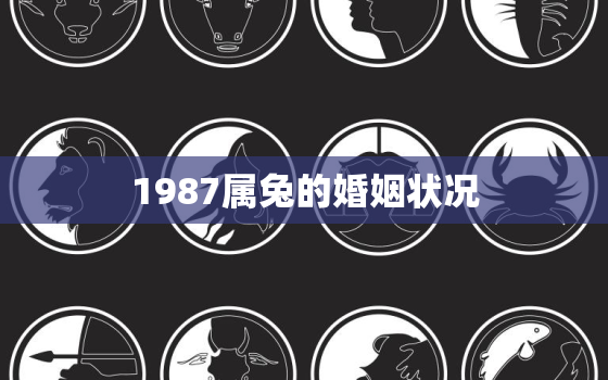 1987属兔的婚姻状况，1987属兔人的婚姻与命运如何