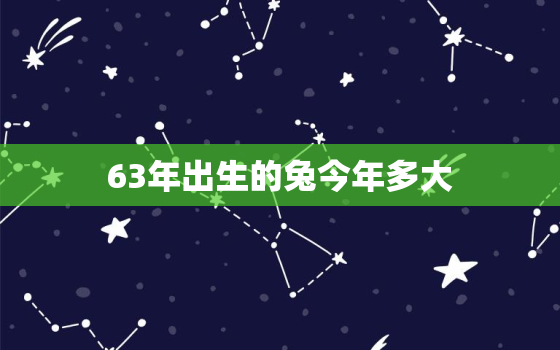 63年出生的兔今年多大，63年出生属兔的今年多大