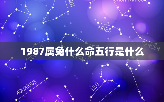 1987属兔什么命五行是什么，1987属兔是什么命五行属相