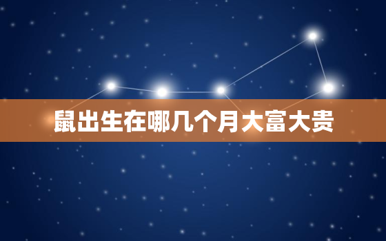 鼠出生在哪几个月大富大贵，2008年鼠出生在哪几个月大富大贵